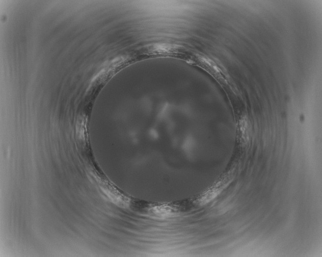 X0000068290423200604241304