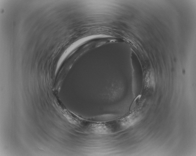 X0000068290424200604241304