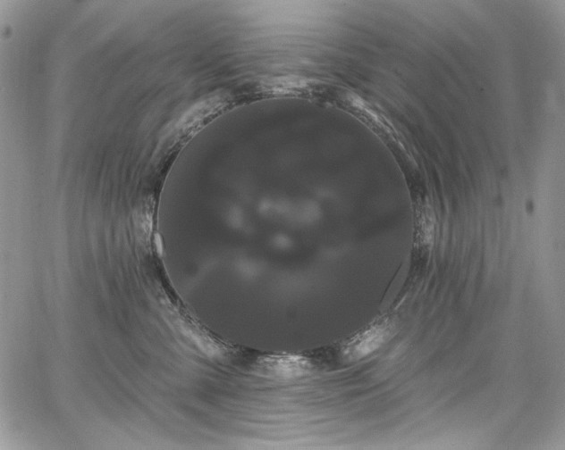 X0000068290427200604241304