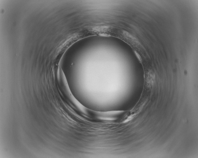 X0000068290428200604241304