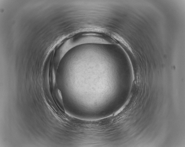X0000068290436200604241303