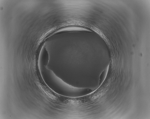 X0000068290442200604241303