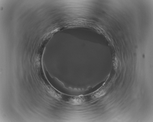 X0000068290466200604241303