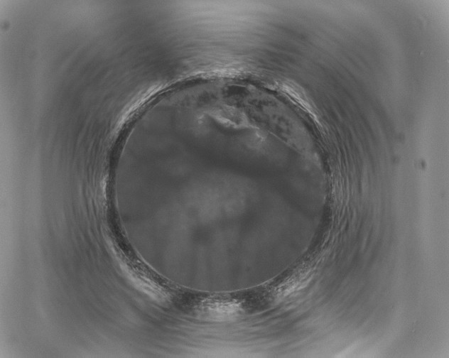 X0000068290491200604241303