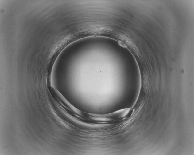 X0000068290493200604241302