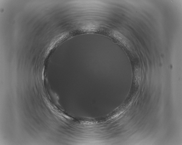 X0000068290494200604241302