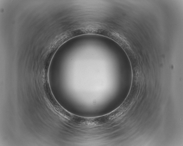 X0000068290498200604241302