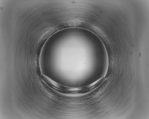 X0000068290501200604241302