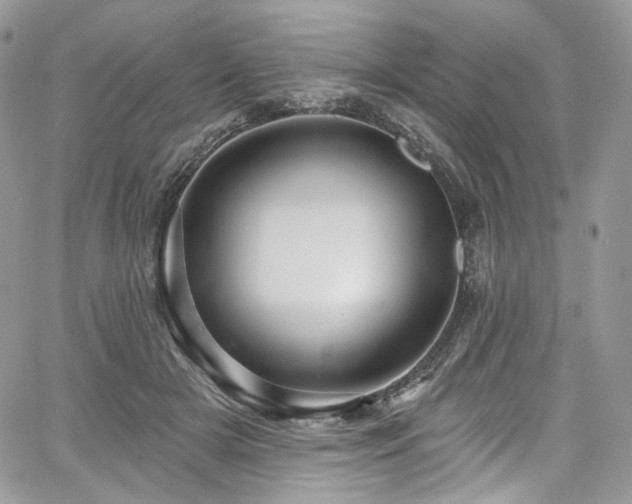 X0000068290505200604241302