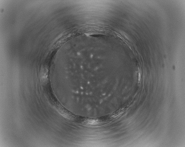 X0000068290507200604241302