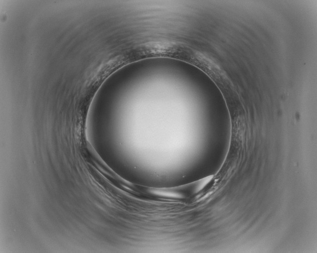 X0000068290509200604241302
