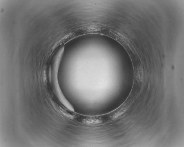 X0000068290512200604241302