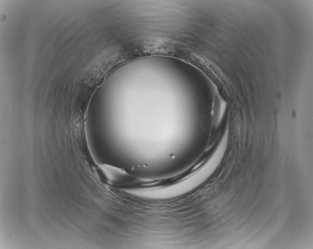 X0000068290513200604241302