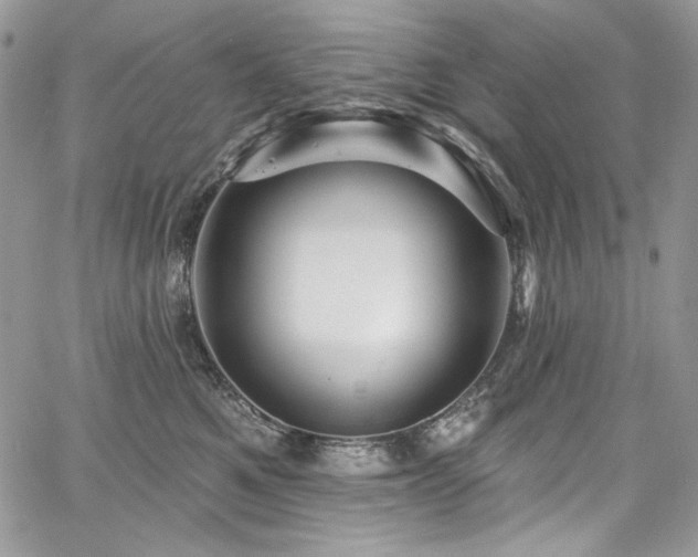 X0000068290521200604241302