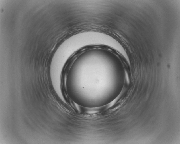 X0000068290524200604241302