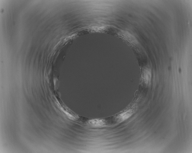 X0000068290526200604241302