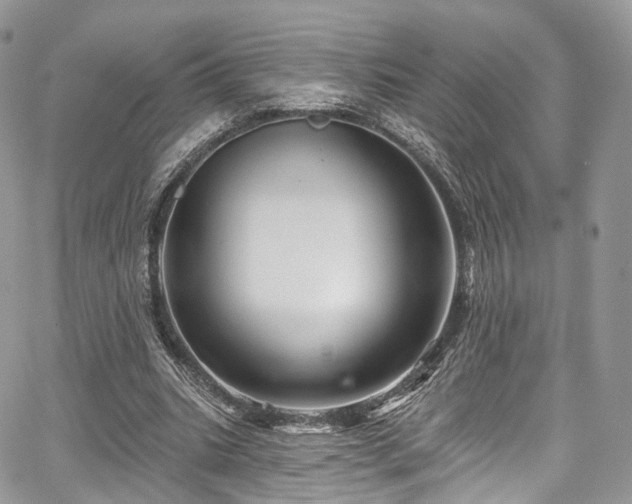 X0000068290535200604241301