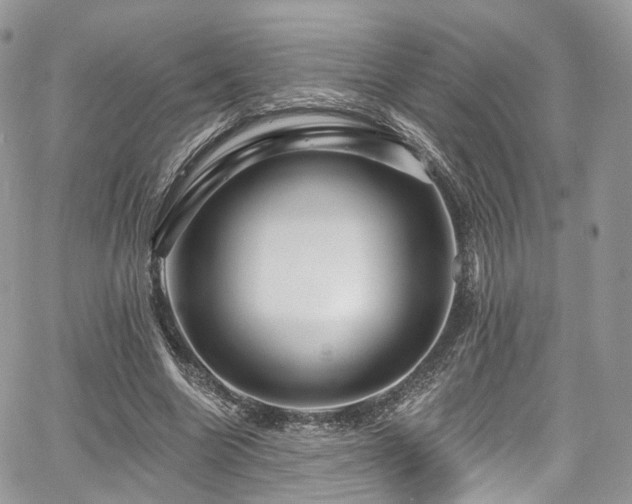 X0000068290538200604241301