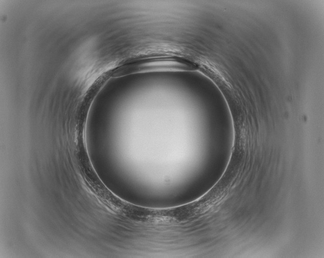 X0000068290539200604241301