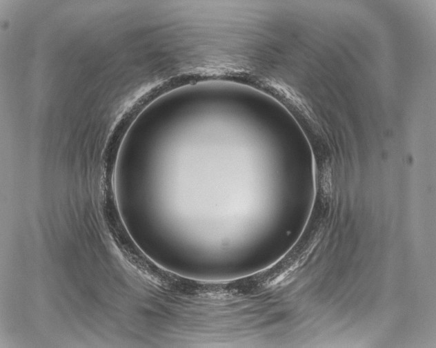 X0000068290540200604241301