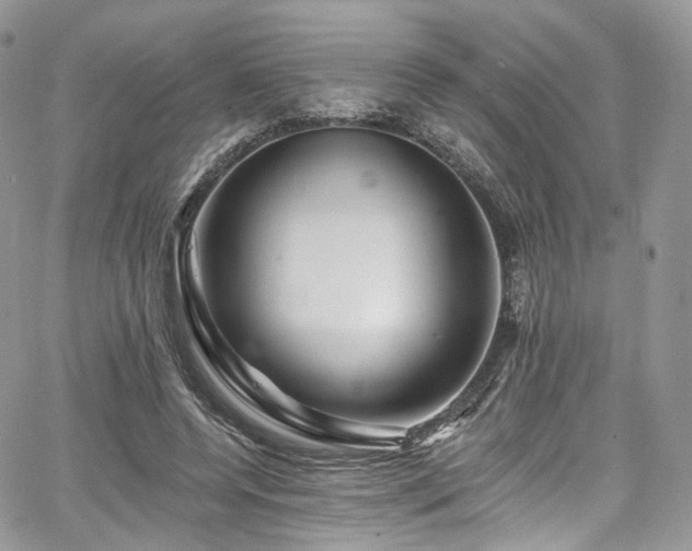 X0000068290544200604241301