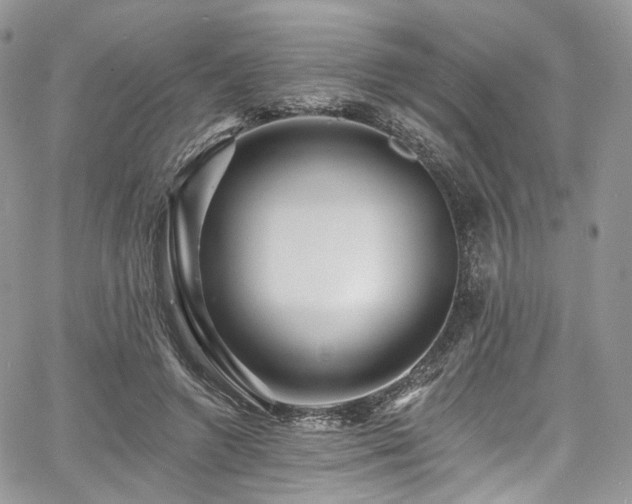 X0000068290546200604241301