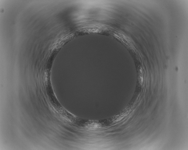 X0000068290551200604241301