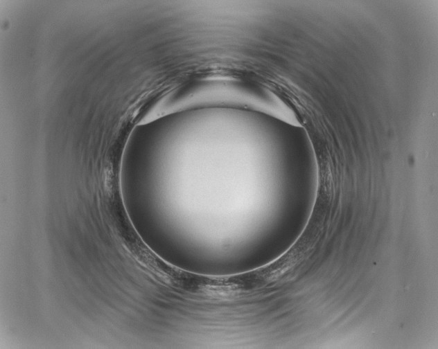 X0000068290556200604241302