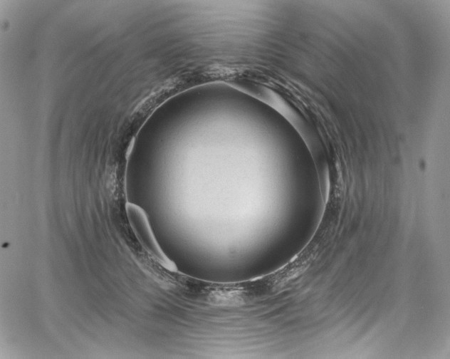 X0000068290560200604241302