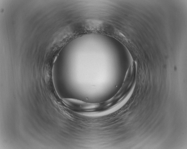 X0000068290566200604241302