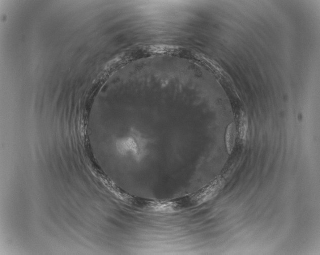 X0000068290569200604241302