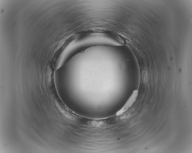 X0000068290570200604241302