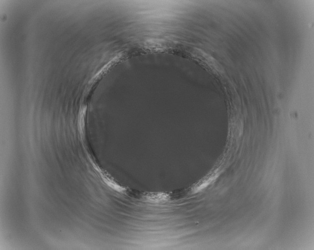 X0000068290576200604241302