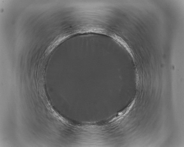 X0000068290577200604241301