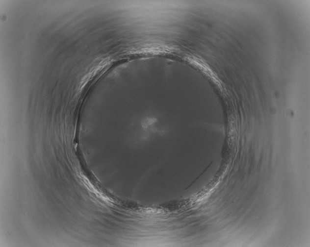 X0000068290585200604241301