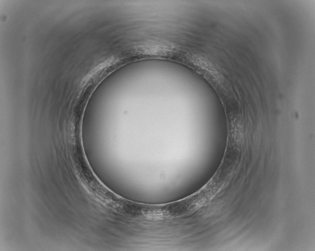 X0000068290587200604241301