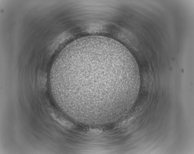 X0000068290592200604241301