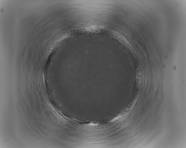 X0000068290593200604241301