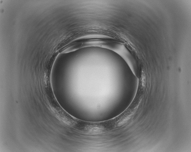 X0000068290597200604241301