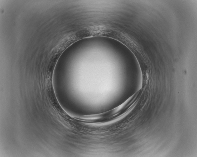 X0000068290601200604241301