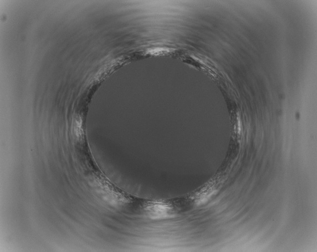 X0000068290610200604241300