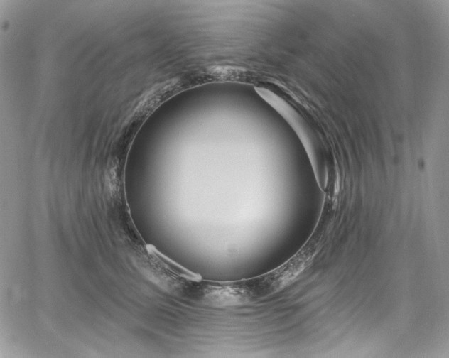 X0000068290611200604241300