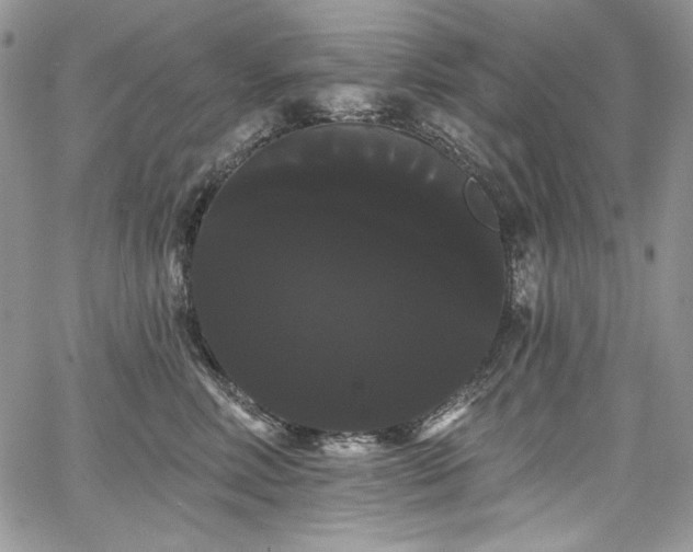 X0000068290618200604241300