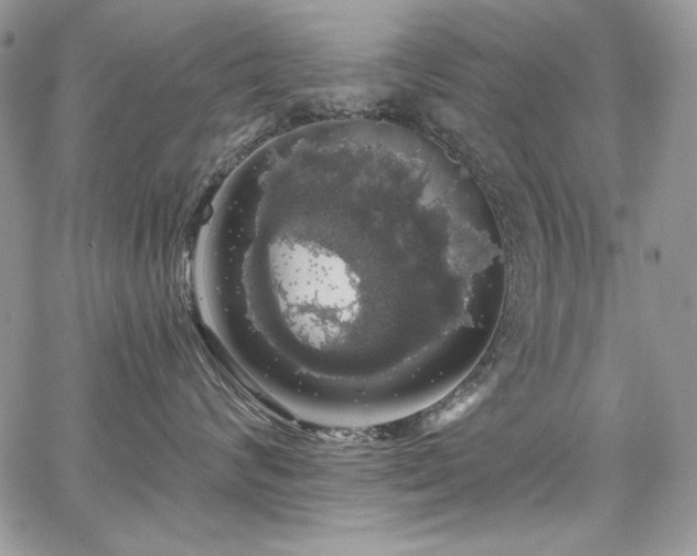 X0000068290624200604241300