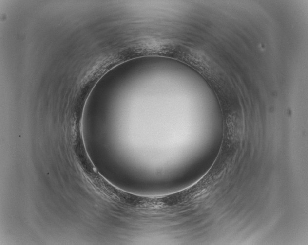 X0000068290642200604241300