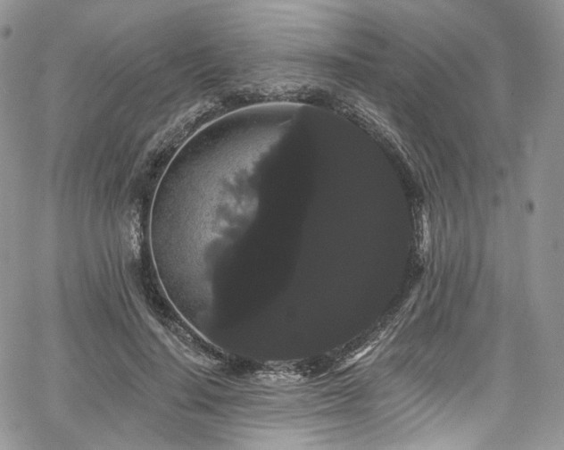 X0000068290644200604241300
