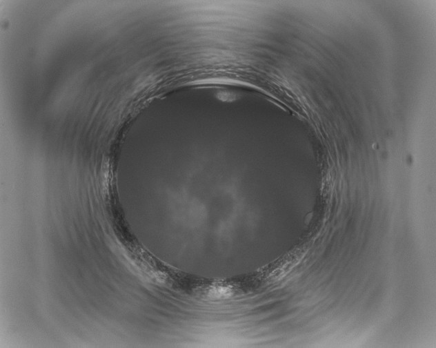 X0000068290647200604241300