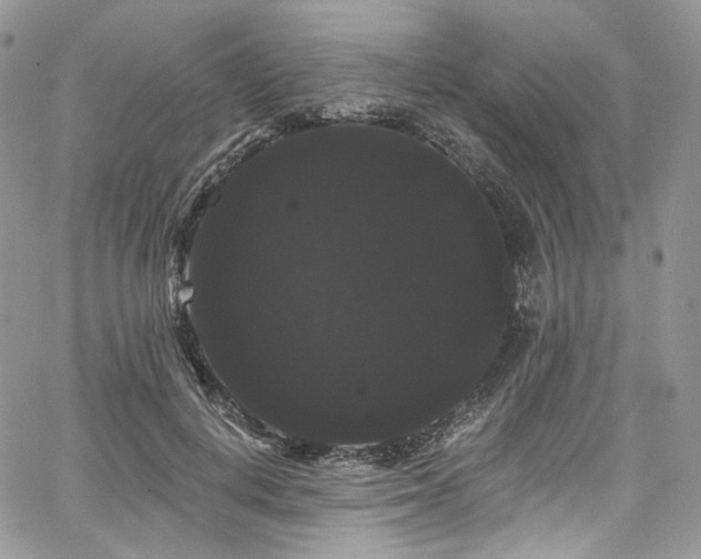 X0000068290648200604241300