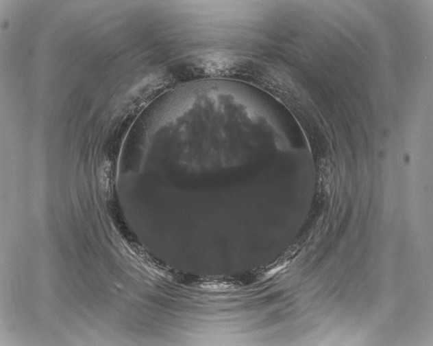 X0000068290650200604241300