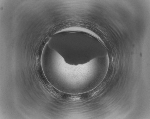 X0000068290651200604241300